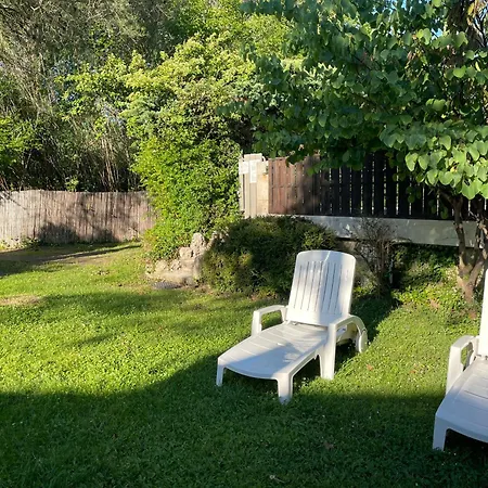 Mas Grimaud - Gite- Et D'hotes Familiales Bed & Breakfast Eygalières