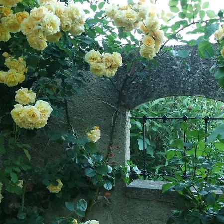 Mas Grimaud - Gite- Et D'hotes Familiales Bed & Breakfast Eygalières