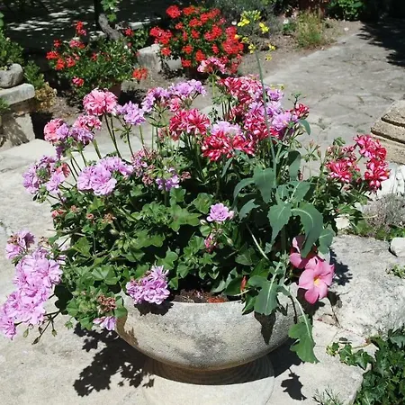 Bed & Breakfast Mas Grimaud - Gite- Et D'hotes Familiales *